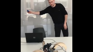 Quadruped Robot following thrown object