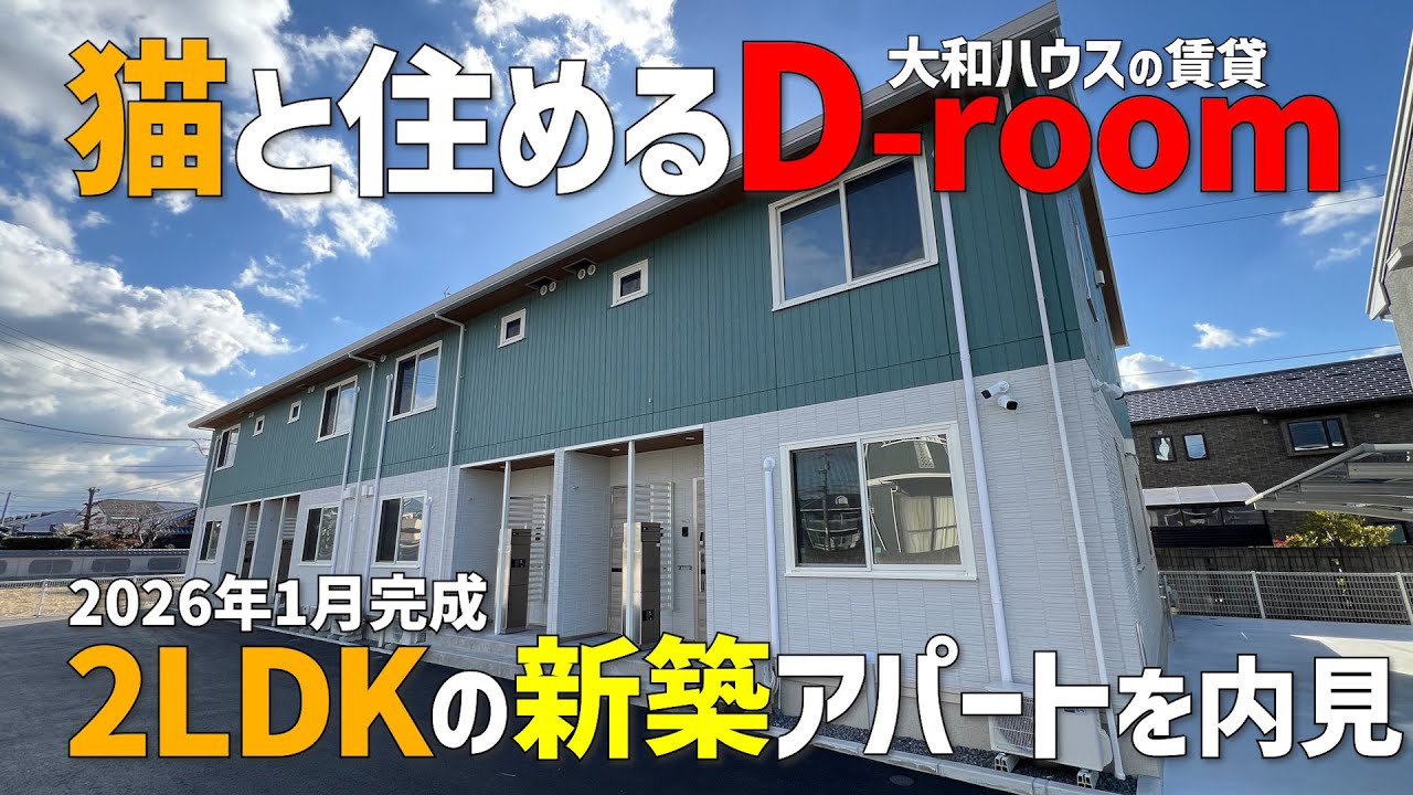 新築・ペット可の大和ハウス賃貸✨2026年1月完成の猫と住める2LDKアパート👯‍♀️最新のD-rooｍをみきゃんと内見ルームツアーin松山市
