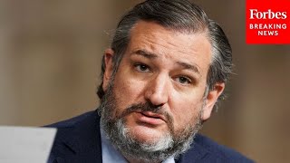Ted Cruz Says He's Troubled By CDC COVID-19 Airplane Study
