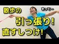 【犬 引っ張る】散歩の引っ張りを直すしつけ【犬のしつけ＠横浜】by遠藤エマ先生