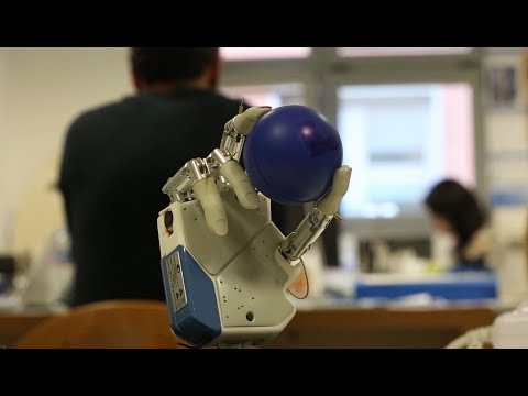 Video: Biorobot Dal Nulla - Visualizzazione Alternativa