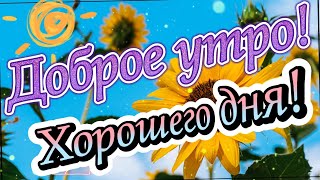 Доброе Утро! Хорошего Дня! Красивая Музыкальная Открытка Для Хорошего Настроения!