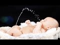 Funniest Baby Fails Moments