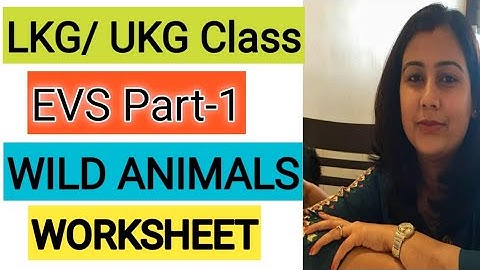 lkg ukg evs part 1 wild animals worksheet youtube