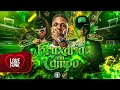 BRUXARIA EM CAMPO - Tropa do Bruxo, MC Nito, MC HK DA 7 e DJ WG DO SS