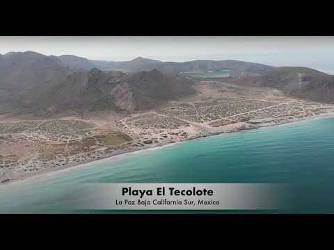 Vidéo: Été à Baja California Sur, Mexique - Réseau Matador