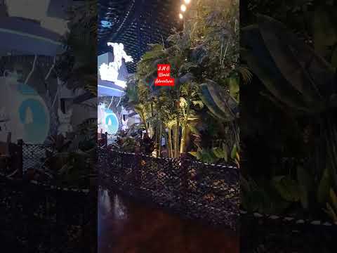 I M G World Adventure DUBAI #travel #bollywoodsongs #love #bolleywoodsong #song #adventure #dubai