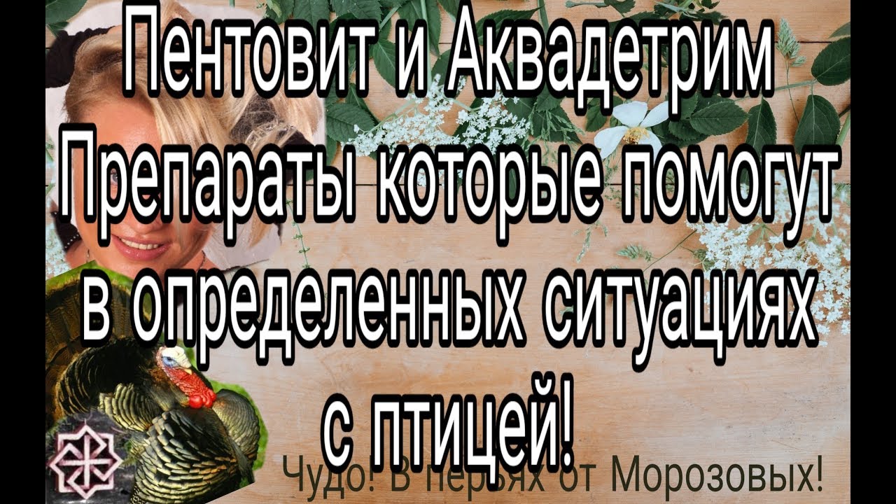Пентовит и АкваДетрим//Препараты которые помогут в определённых ситуациях с птицей.