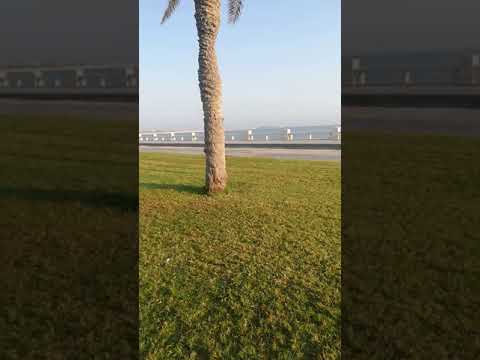 حي السلام