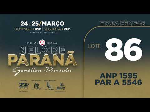 LOTE   86 ANP 1595 PAR A5546