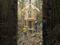Massive Treehouse Evolution: From Giant Log to Luxury Yellow Home Full Construction Timelapse #bild