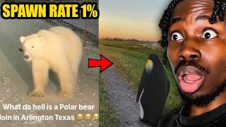When Animals Spawn In The Wrong Area..
