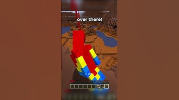 Minecraft, But I Shapeshift...