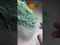 #asmr #asmrsounds #experiment