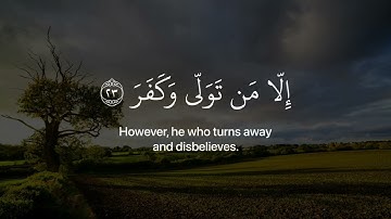 افلا ينظرون الي الابل كيف خلقت: القارئ عبدالرحمن مسعد ...🤍