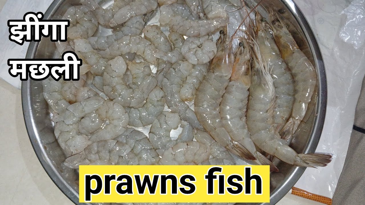 झींगा मछली कैसे काट करके बनाया जाता है सिखें,prawns fish,how to cut prawns fish,prawns | झींगा मछली 