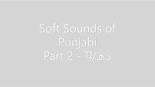 The Soft Sounds of Punjabi (ਧ) (دھ )  - Part 2 | Learn Punjabi with Tushar screenshot 5