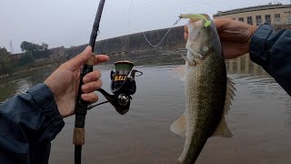 TINY SWIMBAIT Fishing at Dam