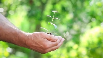 The Oracle Cloud: A More Sustainable Alternative