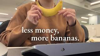 6 months after changing careers | ordinary days in sydney