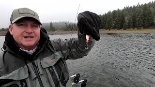 Day 2 was as nasty one with the snow and wind. donner beat us up but
stampede produced 6 or 7 great rainbows on kastmasters & cripplures
sweet sh...
