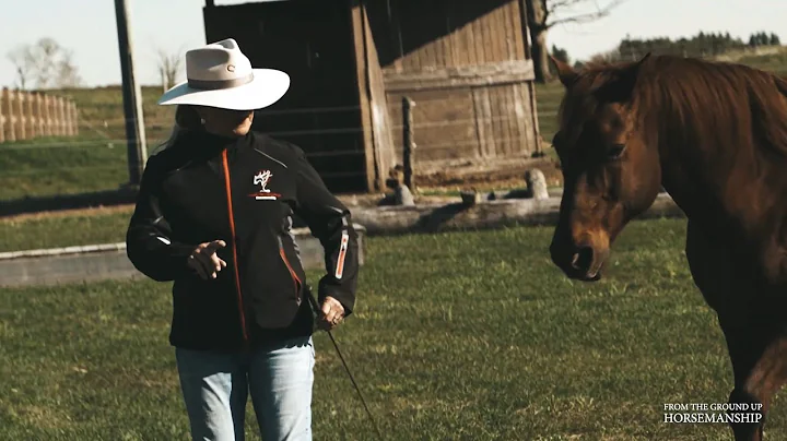 Judy Griffiths (Natural Horsemanship Foundation Sp...