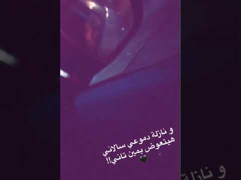 تامر عاشور قولو سماح 