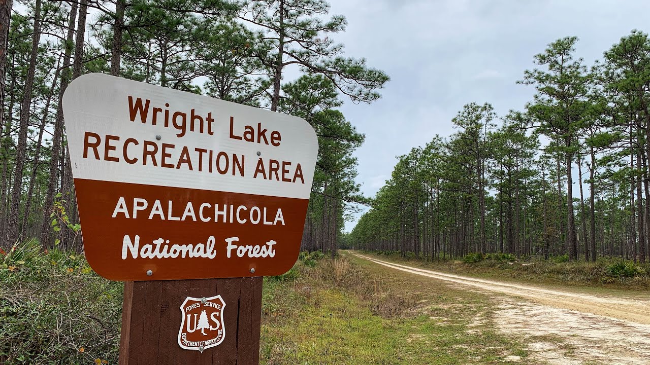 Wright Lake Campground, Apalachicola National Forest in FL YouTube