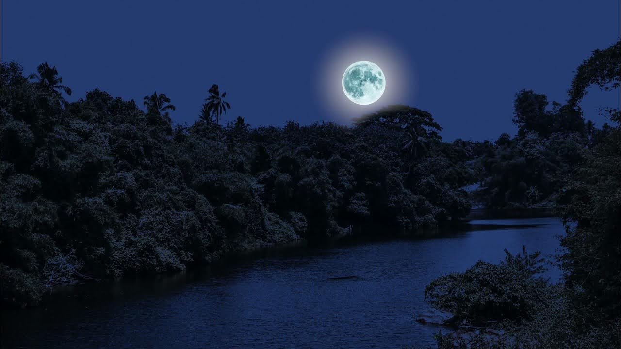 Лунный свет что это. Красивая луна. Лунный свет что это. Луна. Лунный свет что это.