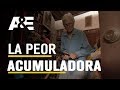 ACUMULADORES COMPULSIVOS / Merlene