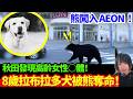 【日本熊患突發慘劇！🚨】8歲拉布拉多犬被熊奪命！熊闖入AEON傢俬舖逗留兩小時、秋田縣發現高齡婦○體、疑被熊襲擊 | 日本新聞報導 | CC中文字幕 #熊出沒 #柴犬 #廣東話 #新聞 #突發