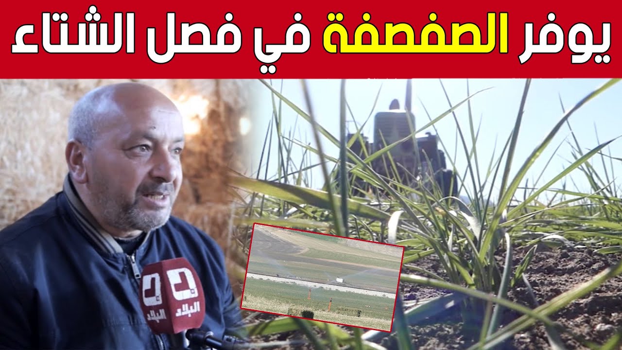 مسعود