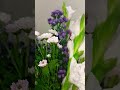Beautiful flowers #flowers #nature #naturelovers #ytshorts #goviral #funtime#trending #viral #tamil
