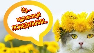 🌷Доброе Утро😁Здравствуй Весенний Понедельник🥰Удачного  Дня🎶Красивая Музыкальная Открытка