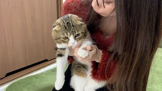 激闘の10分！猫とママの爪切りバトル