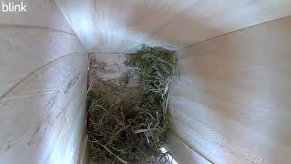 Celebrity 14 47 13 Nestbox 086 Net Worth