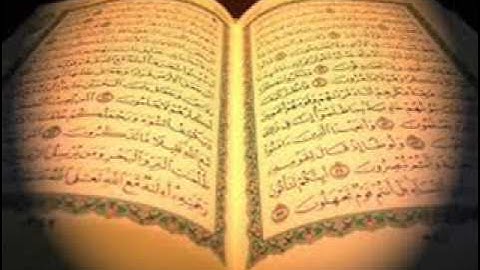 فهد الكندري : سورة يس