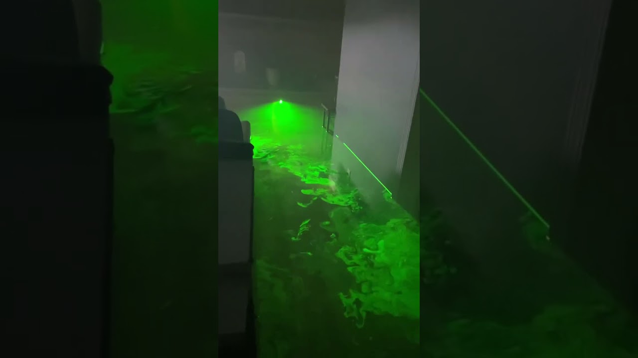 Fog Laser Swamp