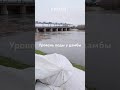 Курган уровень воды у дамбы. Потоп в Кургане. Курган топит.  #потоп #курган #вода
