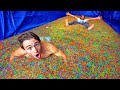 100,000,000 Orbeez in Semi Truck!