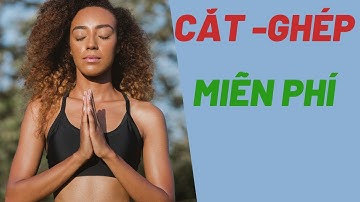 VSDC-3 : lồng âm ,cắt âm, chỉnh âm lượng.