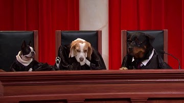 American Express Co., et al. v. Italian Colors Restaurant: Oral Argument - February 27, 2013