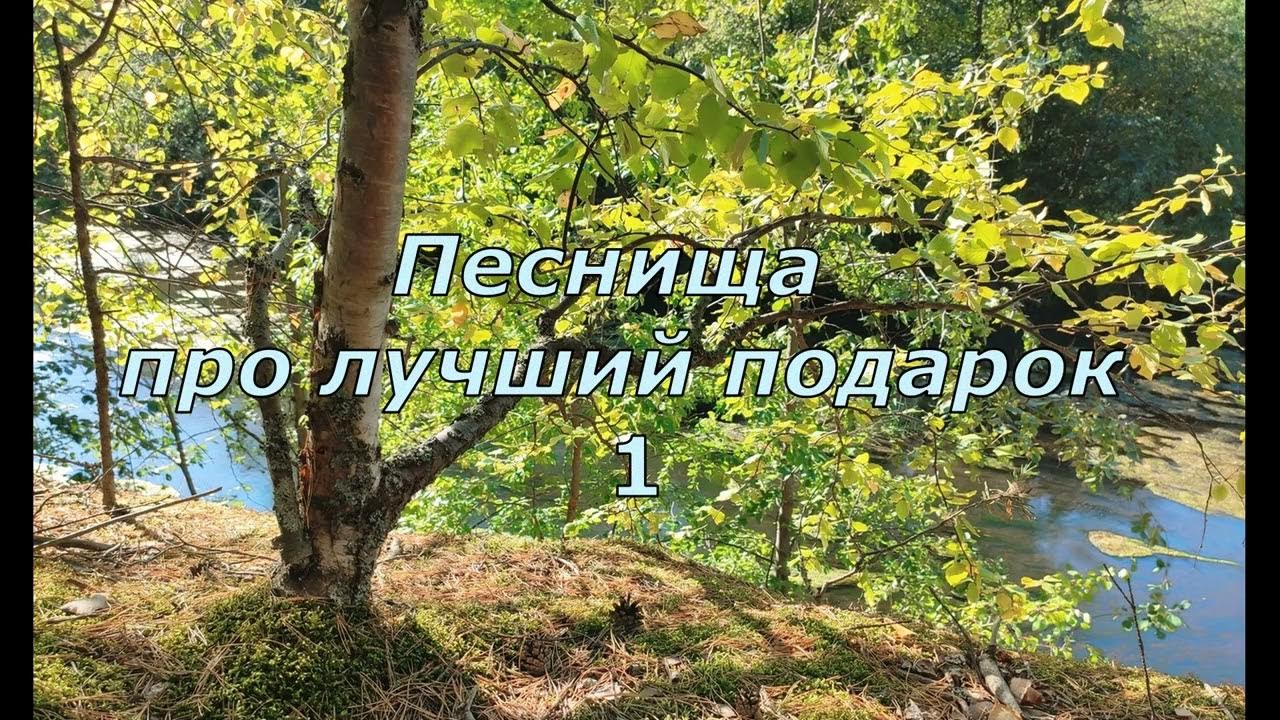 Б Заходер Песенки Винни-Пуха #стихидлядетей #поэты20века - YouTube