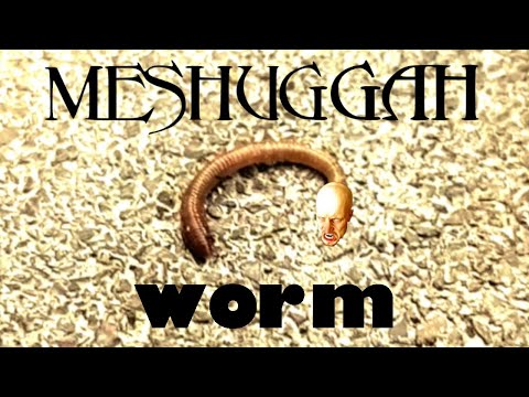 MESHUGGAH WORM (when "Future Breed Machine" KICKS IN!)