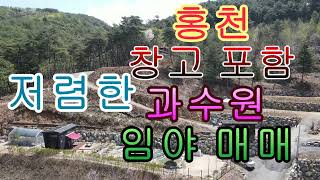 홍천 창고 포함 저렴한 과수원 임야 매매 2771제곱 838평 5천만