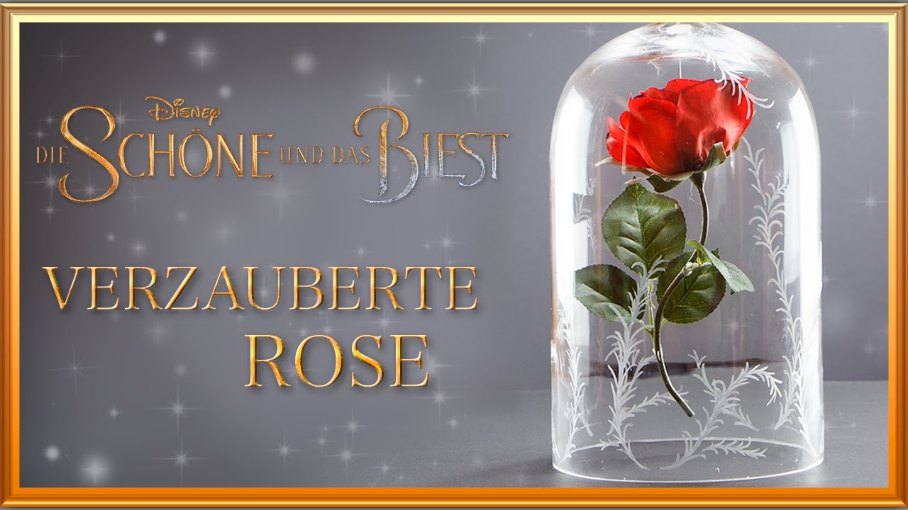 Eleganten Glaskuppel mit KOBWA Die Schöne und Das Biest Verzaubert Rose 