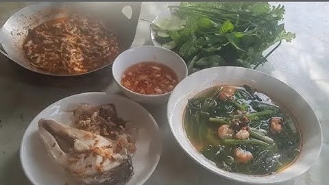 Thực Đơn Cơm Trưa Mỗi Ngày – Ngon Bổ Rẻ Mà Không Ngán | CơmNhàEm