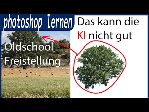 Video: Wie sieht eine Fotomontage aus?