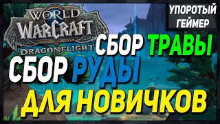 ГАЙД по сбору руды и  травы! [World of Warcraft] [Dragonflight]