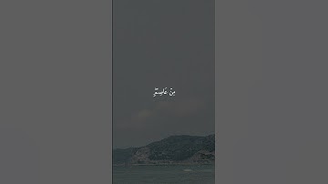 سورة يونس 27 | عبدالرحمن مسعد [قراءة 2023]